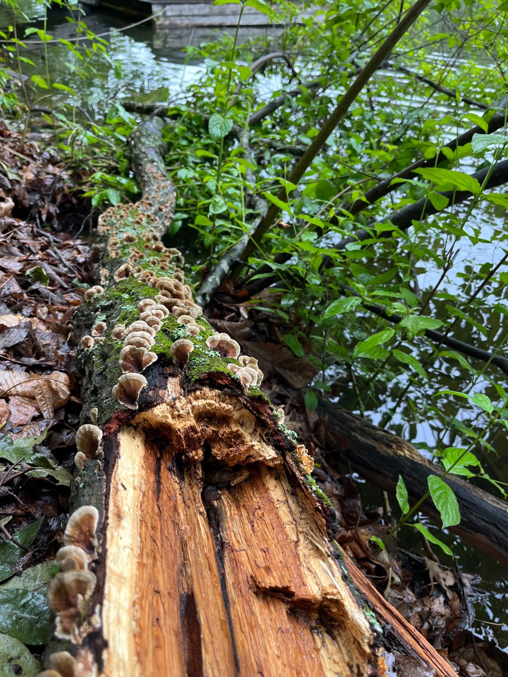 Living Outside the Way Your Mind Sees the&nbsp;World